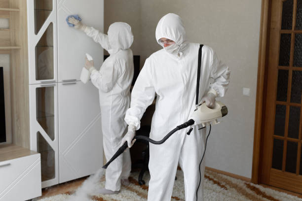 24/7 Emergency Odor Removal experts in Brookhaven, PA